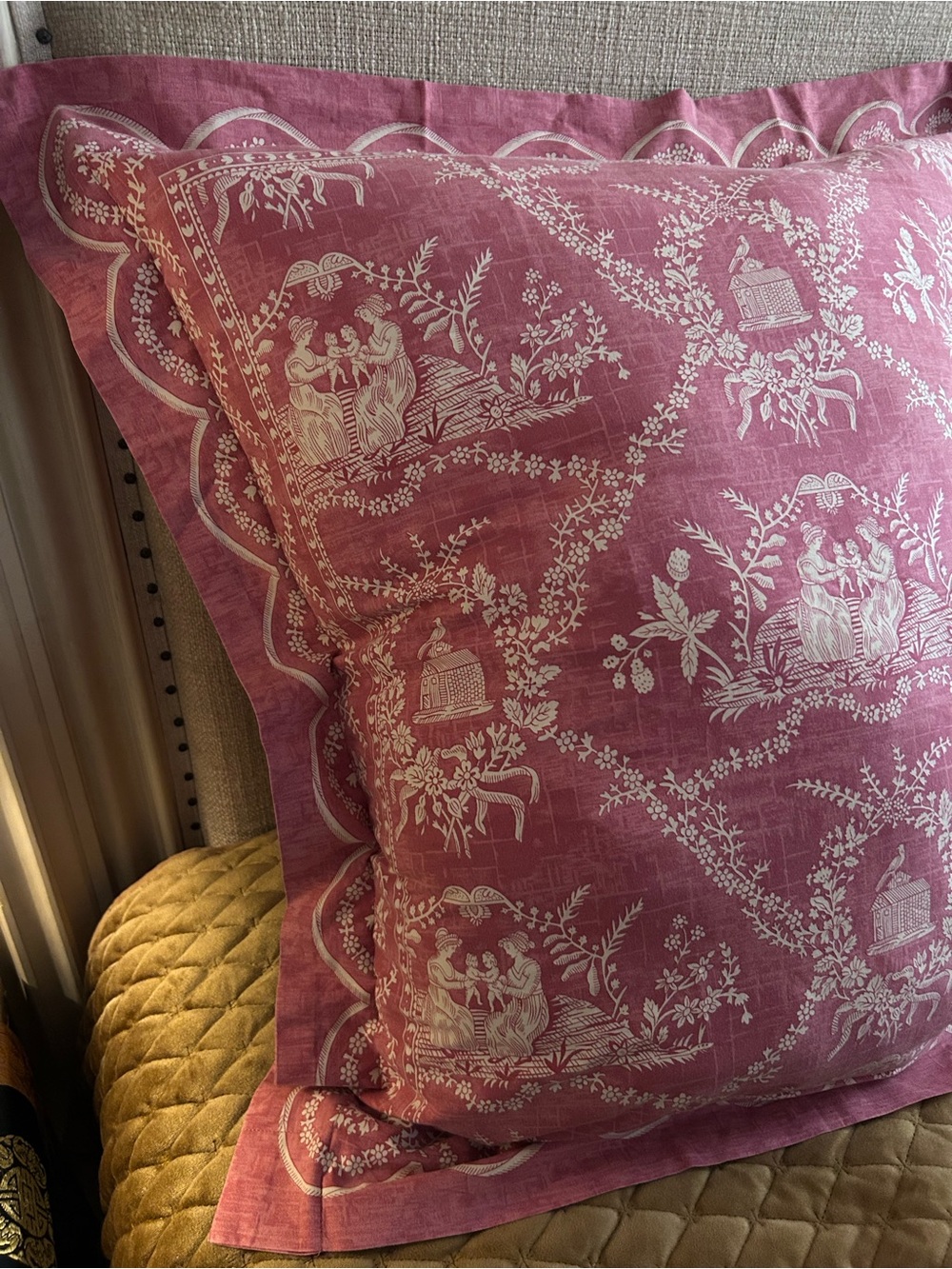 Pierre Frey "Crespieres" Rose Ancien Cotton Toile Euro Shams - Vintage Pair (2)